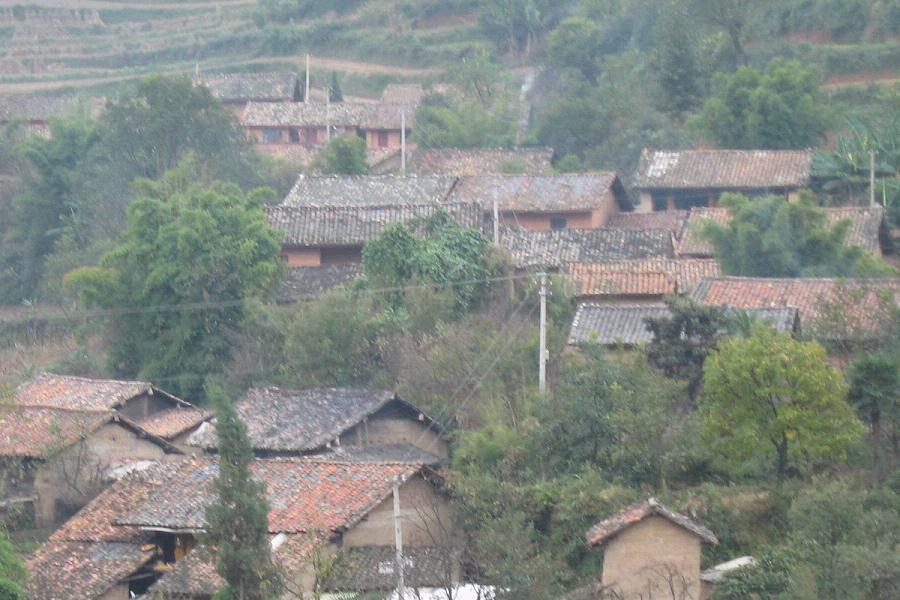 大取嘎村 大取嘎村