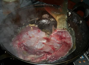 鯉魚蘑菇煲