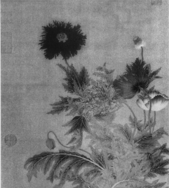 罌粟花圖(清代柳遇創作絹本設色畫) 罌粟花圖(清代柳遇創作絹本設色畫)