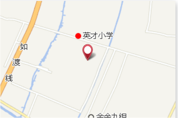 雙龍五組