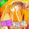 真愛一夜情(藤原晶創作少女漫畫)