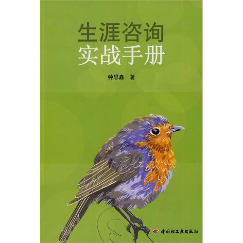 生涯諮詢實戰手冊(2010年中國輕工業出版社出版的圖書)
