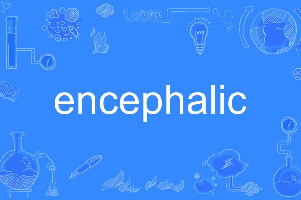 encephalic encephalic