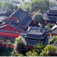 龍興講寺 龍興講寺