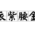 衣紫腰金 衣紫腰金