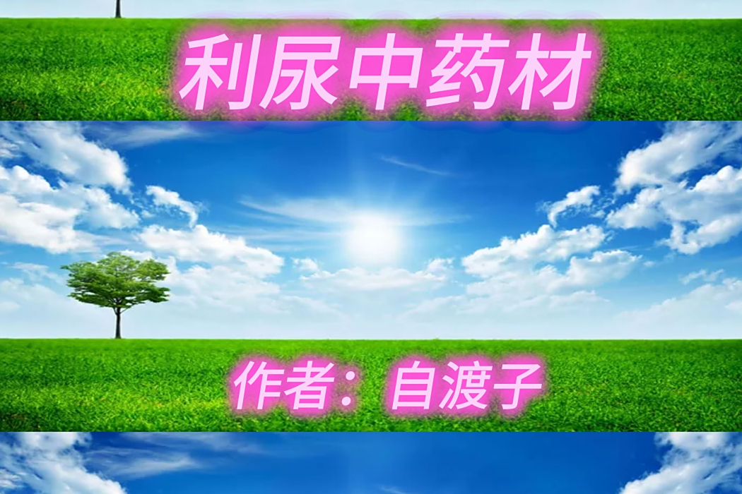 利尿中藥材 利尿中藥材