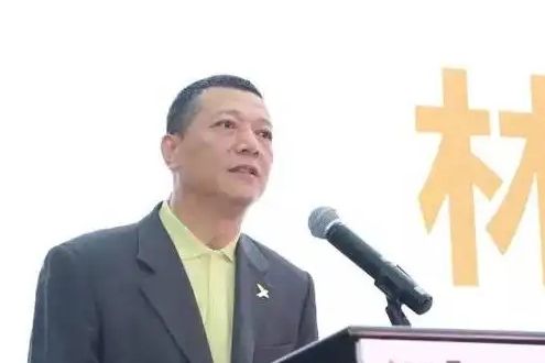 林建(啟迪國際執行董事) 林建(啟迪國際執行董事)