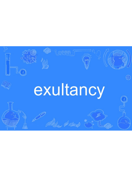 exultancy exultancy