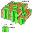 間隙連線