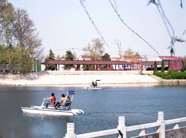費村(費村村（安徽宿州市蕭縣白土鎮費村村）)