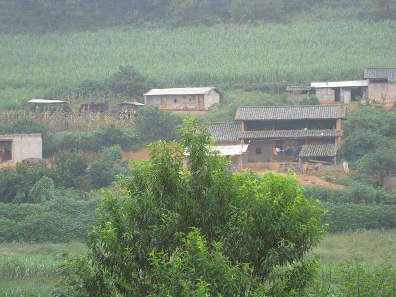 黑母雞村
