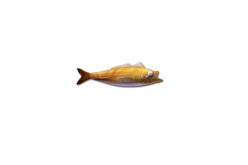 鹹魚(《逆戰》端游的武器) 鹹魚(《逆戰》端游的武器)