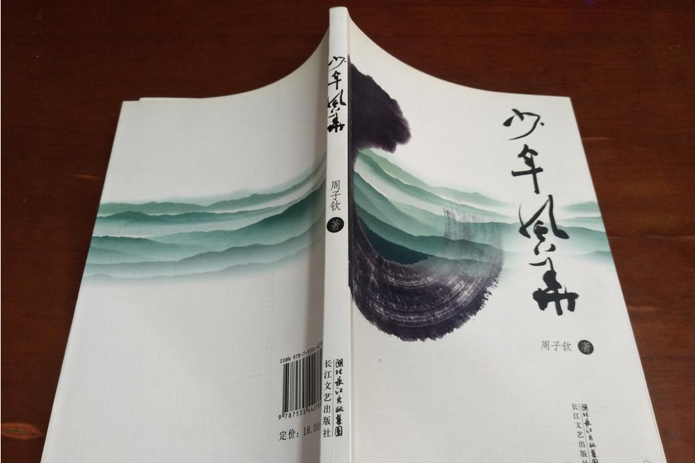 少年風華(2009年長江文藝出版社出版的圖書) 少年風華(2009年長江文藝出版社出版的圖書)