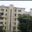 南北大街(上海市南北大街) 南北大街(上海市南北大街)
