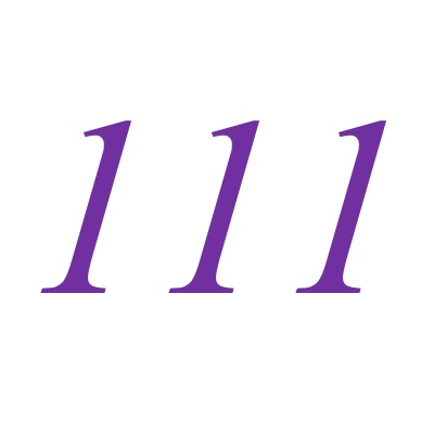 111(自然數之一)