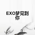 EXO夢見到你 EXO夢見到你