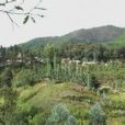 苗白克村 苗白克村
