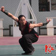 袁鐵軍(武術師) 袁鐵軍(武術師)