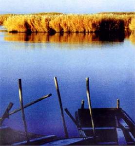 柴窩堡湖