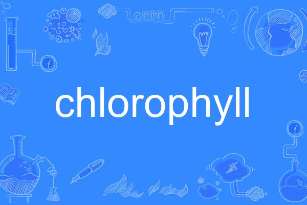 chlorophyll chlorophyll