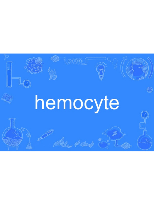 hemocyte hemocyte