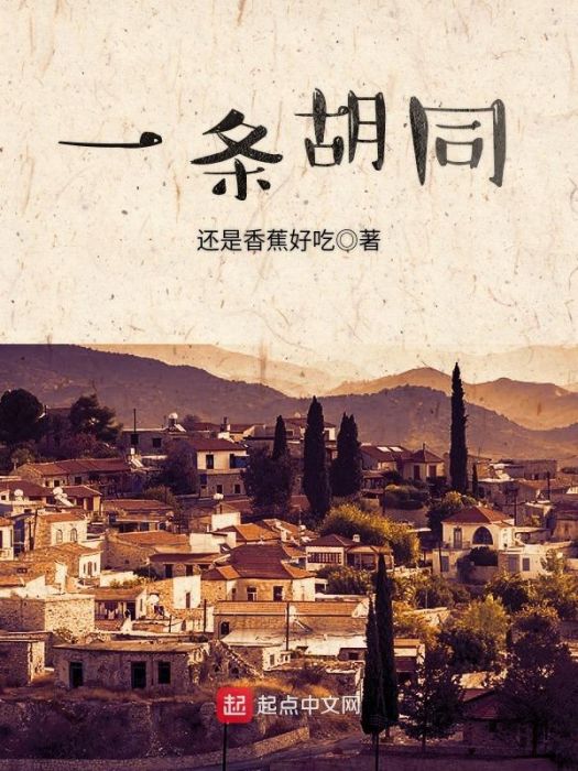 一條胡同 一條胡同