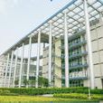 八澤遊戲 八澤遊戲
