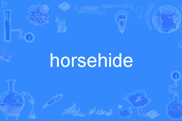 horsehide horsehide