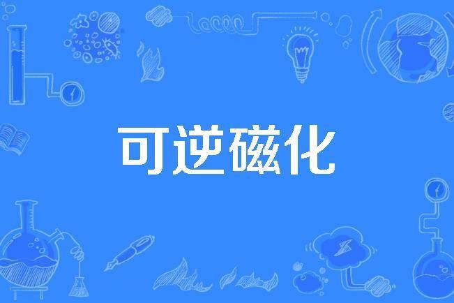 可逆磁化 可逆磁化