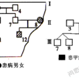 Bruton綜合症 Bruton綜合症