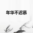 年華不遲慕