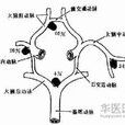 盜血 盜血