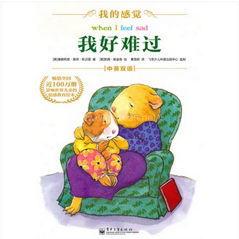 我好難過(2010年電子工業出版社出版的圖書) 我好難過(2010年電子工業出版社出版的圖書)