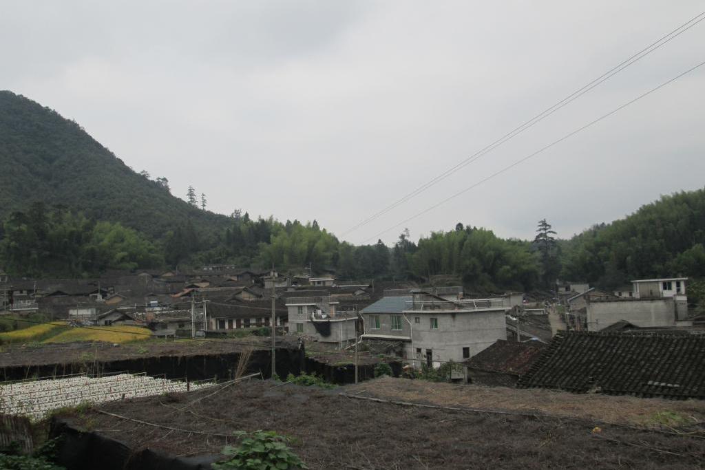 揚地鎮 揚地鎮