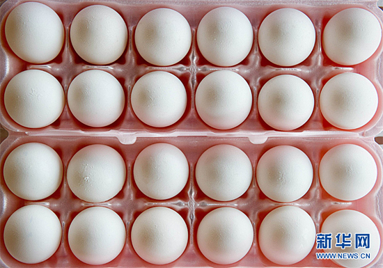 2010年8月19日在美國華盛頓拍攝的盒裝雞蛋