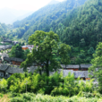八龍村(那能鄉那拉村委會八龍村) 八龍村(那能鄉那拉村委會八龍村)
