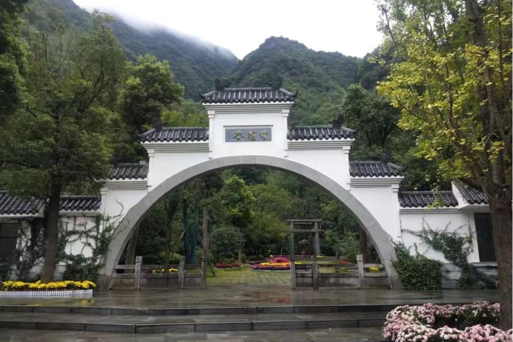 蠟梅谷 蠟梅谷