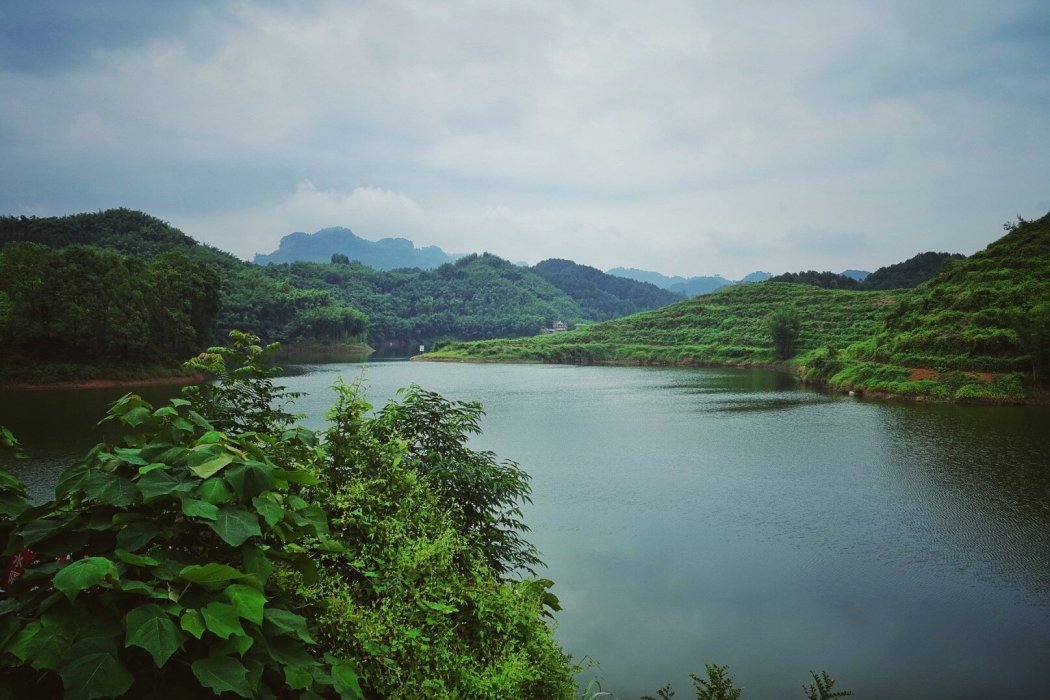 大姑家河 大姑家河