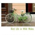 Bird Life in Wild Wales(Walpole-Bond, J. A.等著圖書) Bird Life in Wild Wales(Walpole-Bond, J. A.等著圖書)