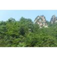 河畔村 河畔村