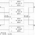 淘汰制 淘汰制