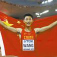 王嘉男(中國跳遠運動員) 王嘉男(中國跳遠運動員)