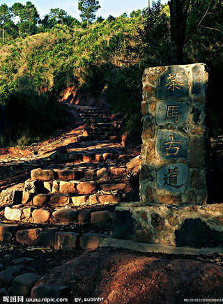 陳哈妮 陳哈妮