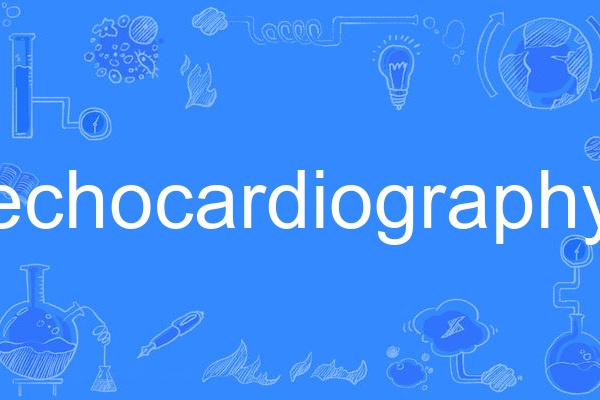 echocardiography(英語單詞) echocardiography(英語單詞)