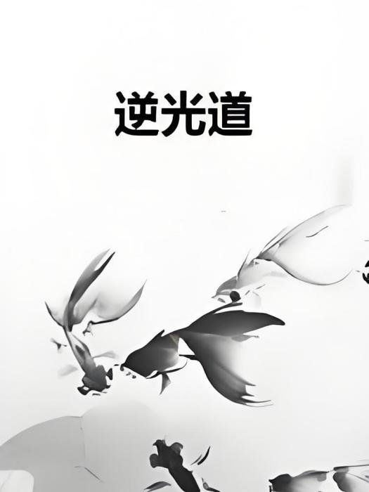 逆光道 逆光道