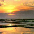 灌河新八景 灌河新八景