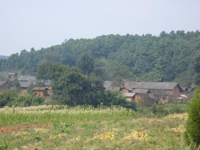 李子溝劉村 李子溝劉村