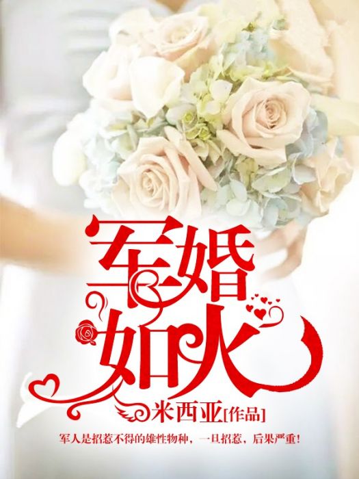 軍婚如火