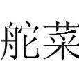 舵菜