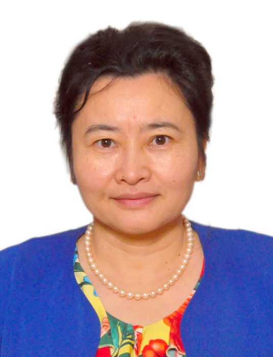 羅雪梅(湖南大學外國語學院教授) 羅雪梅(湖南大學外國語學院教授)